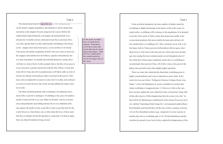 Oceans essay essay on ocean for class 3